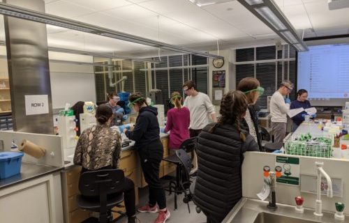 Research “Open” Lab